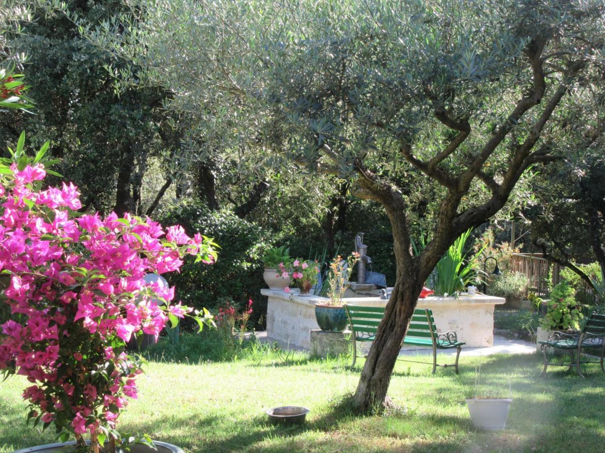 Domaine Du Bois Gite Bleuette Galargues Εξωτερικό φωτογραφία